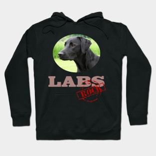 Black Labs Rock! Hoodie